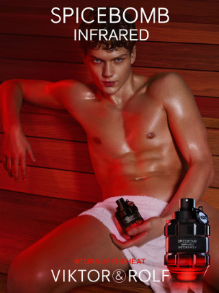 CAESAR VAN DEN IDSERT