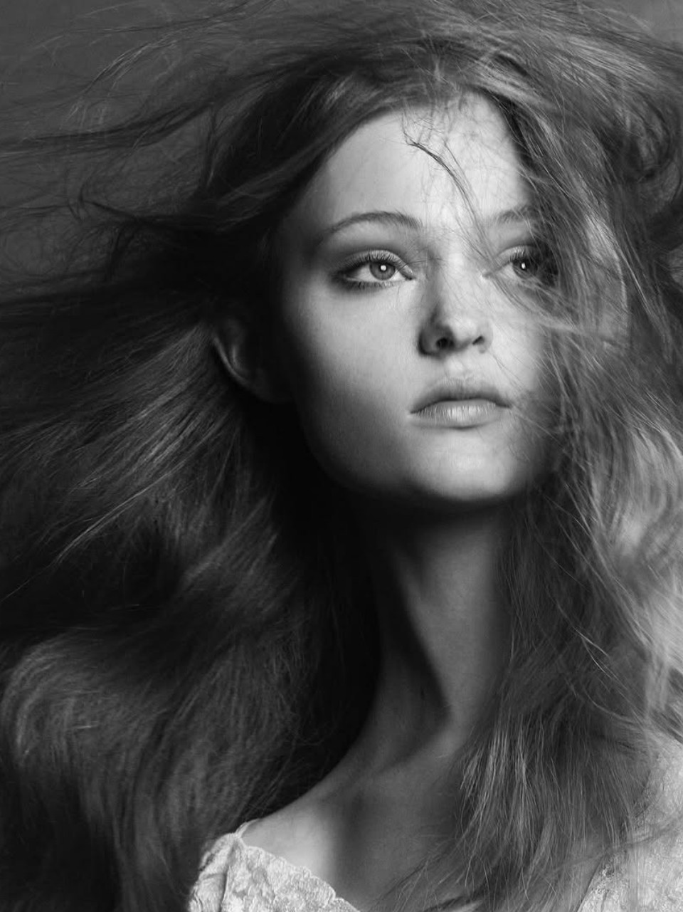 Ava Shipp - Image 18