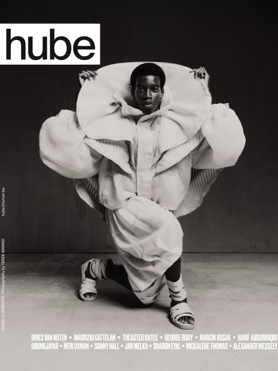 CEDRIC SANVEE - Image 15